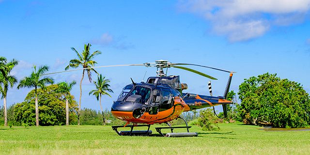 Airport Transfer by Helicopter (3)